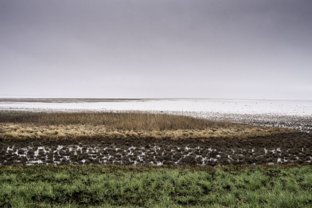 Bear River Bird Refuge