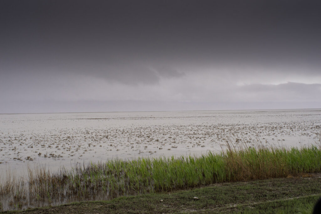 Bear River Bird Refuge
